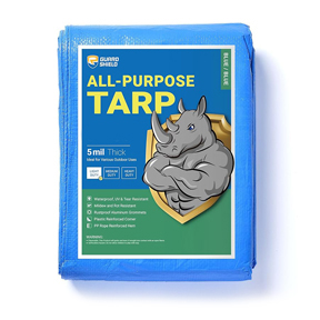 Blue Tarp